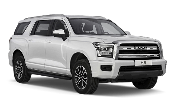 СНЕЖНЫЙ ОПАЛ